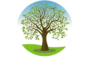Meadows Life Chiropractic Health & Wellness Centre logo